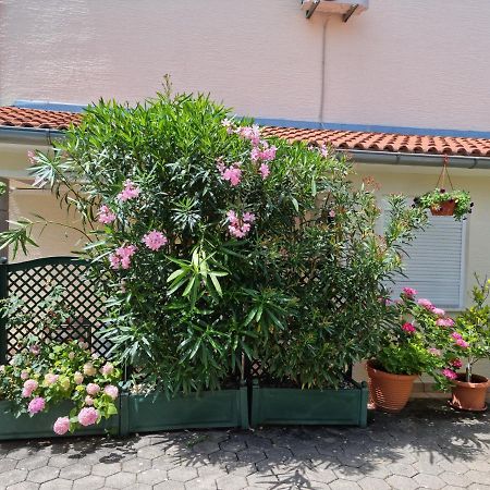 Apartments Zoretic مالينسكا المظهر الخارجي الصورة